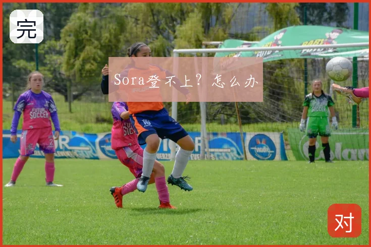 Sora登不上？怎么办